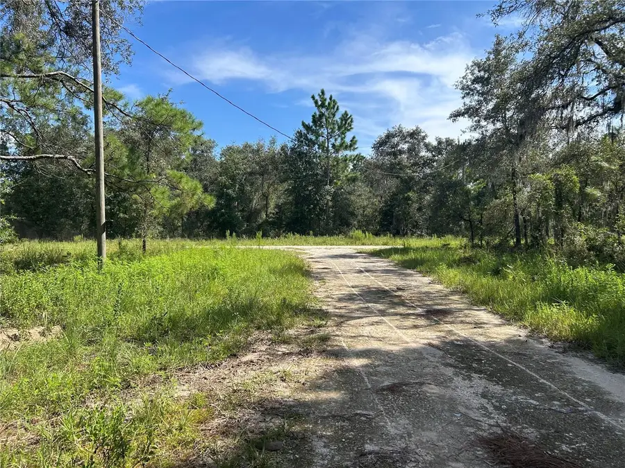 1631 NE 123rd Terrace, Williston, FL 32696 - #3