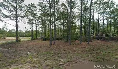 10599 N Caldera Avenue, Citrus Springs, FL 34433 - #1