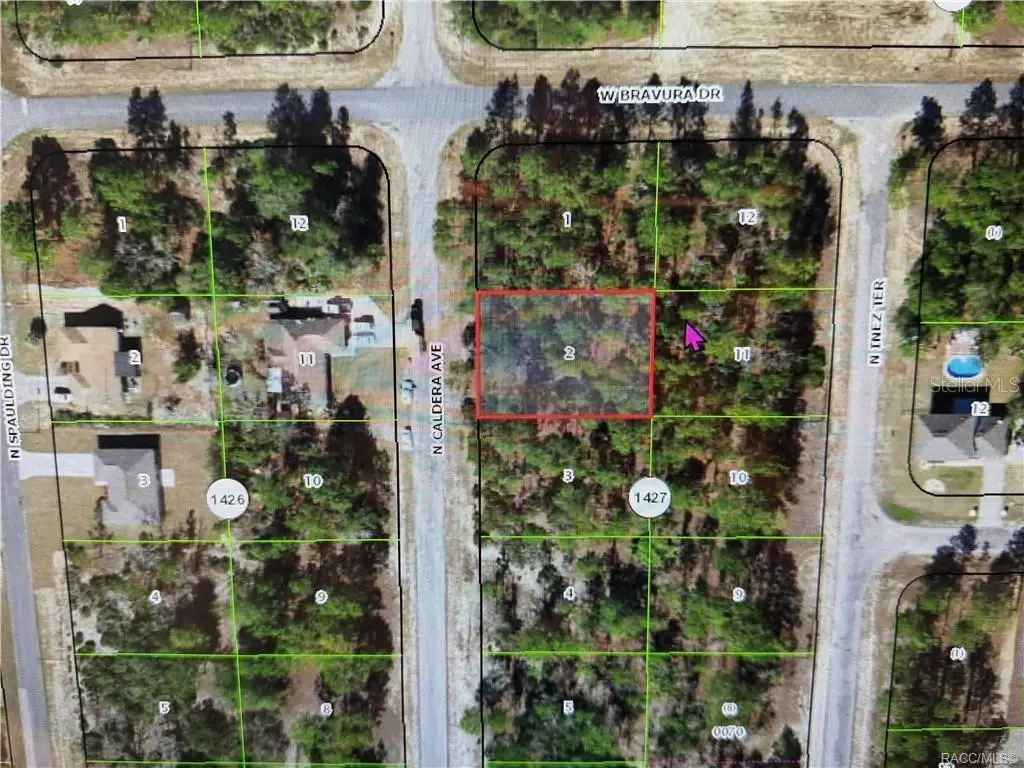 10585 N Caldera Avenue, Citrus Springs, FL 34433 - #1