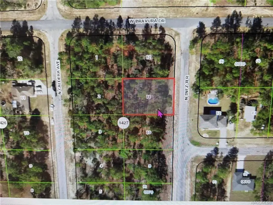 10584 N Inez Terrace, Citrus Springs, FL 34433 - #2