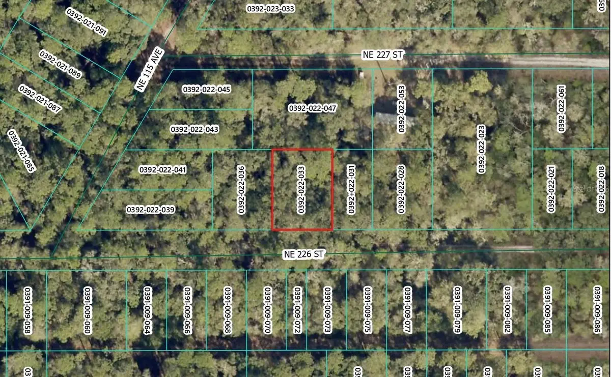 NE 226th Street, Orange Springs, FL 32182 - #1