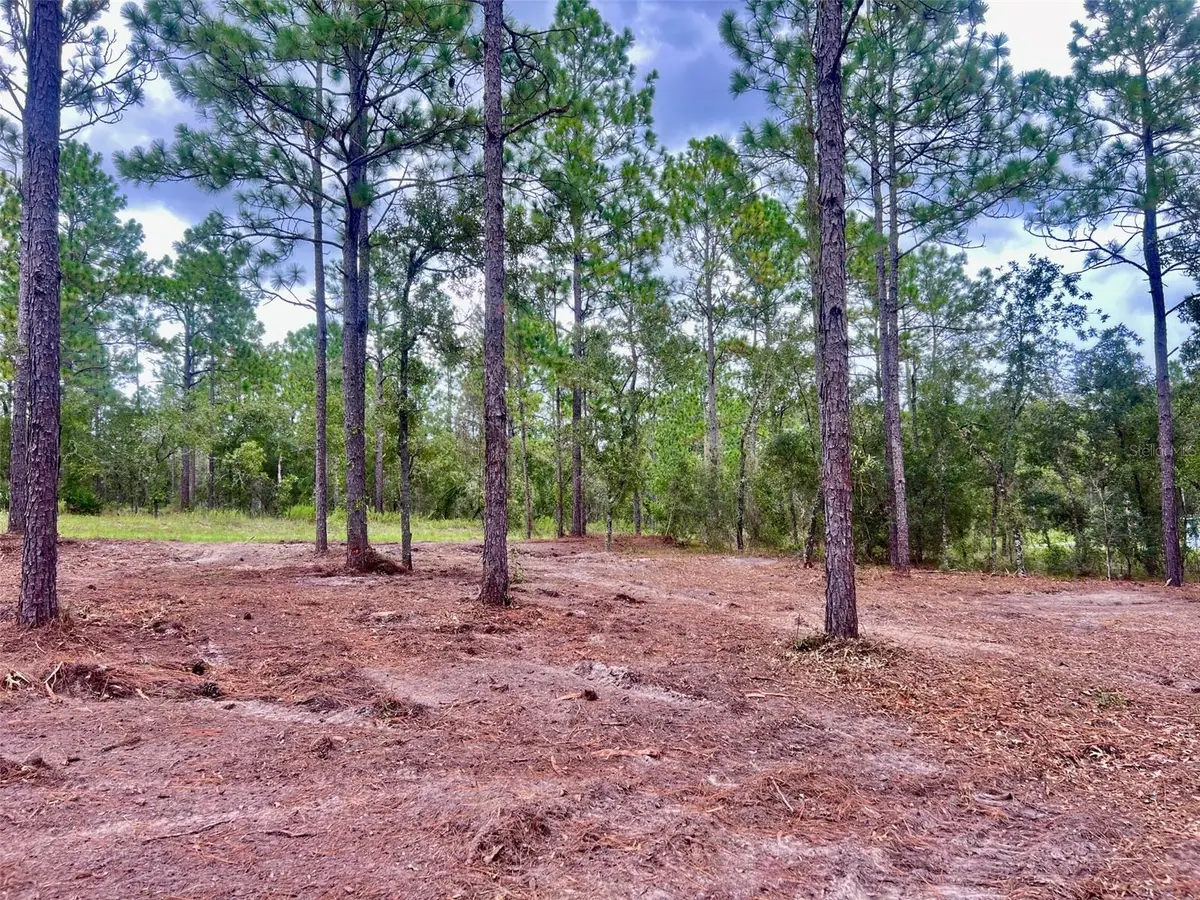 16 SW Anchor Boulevard, Dunnellon, FL 34431 - #1