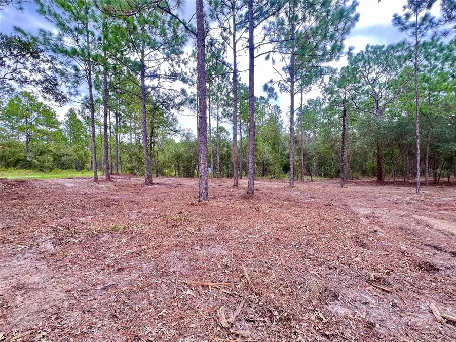 16 SW Anchor Boulevard, Dunnellon, FL 34431 - #2