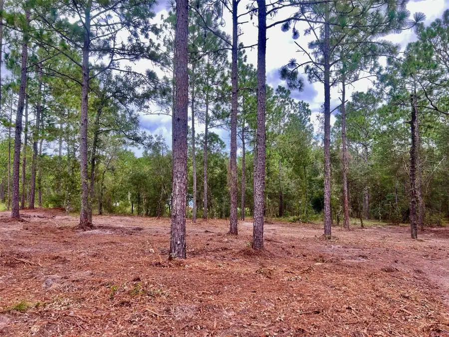 16 SW Anchor Boulevard, Dunnellon, FL 34431 - #3