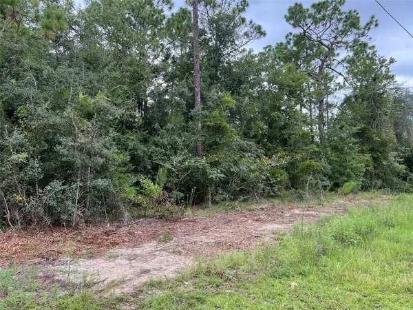 TBD SW 167th Avenue, OCALA, FL 34481