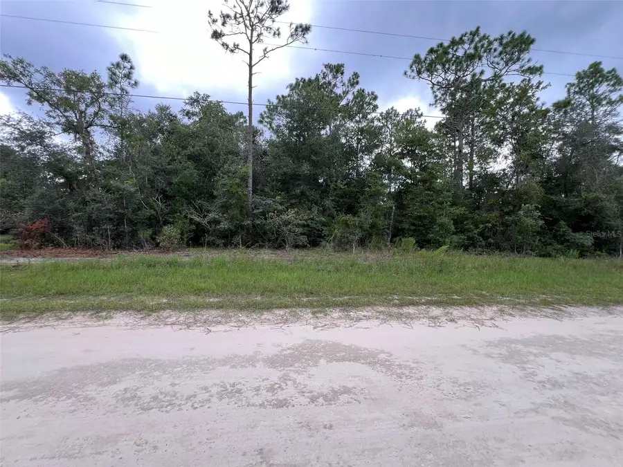 TBD SW 167th Avenue, Ocala, FL 34481 - #2