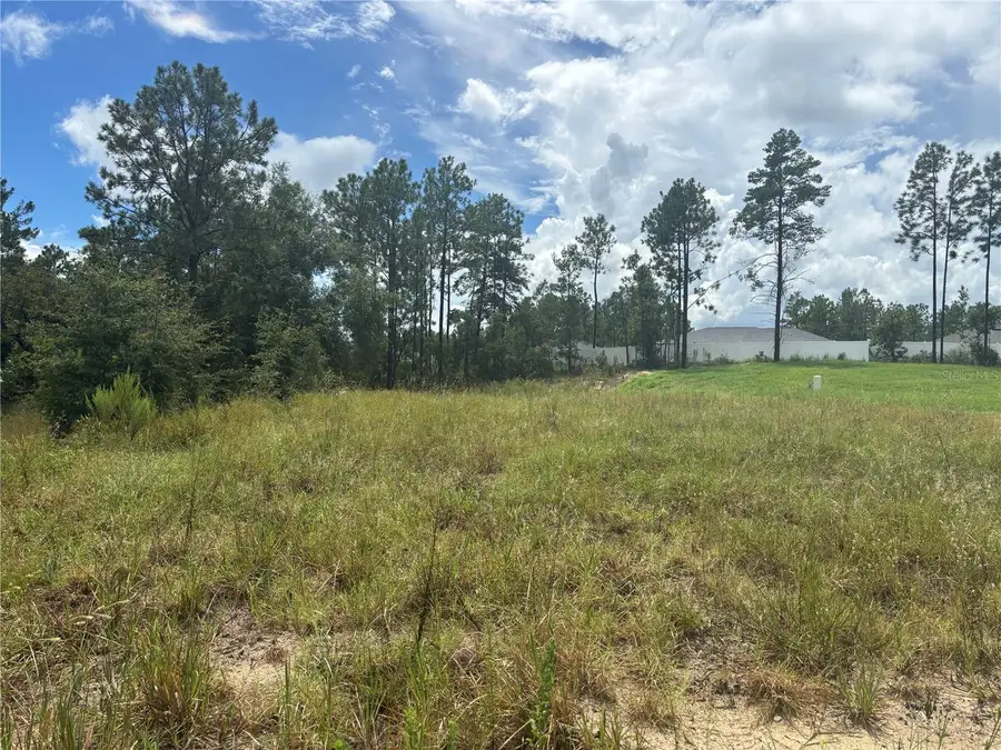 12828 SW 86 Circle, Ocala, FL 34473 - #2