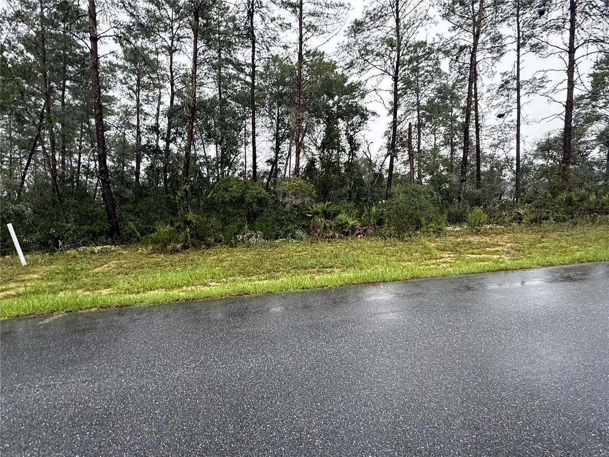 0 SW 176th Loop, Ocala, FL 34473 - #1