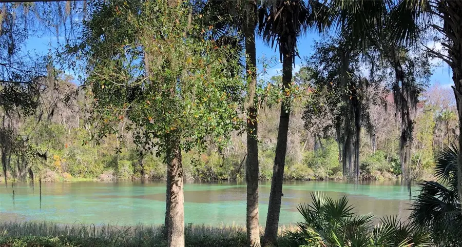7357 N Firwood Circle, Citrus Springs, FL 34433 - #2