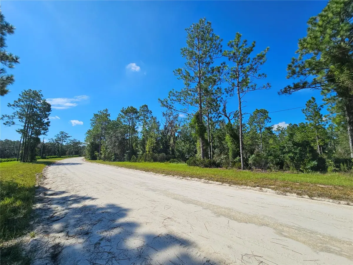 0000 NE 38th Place, Williston, FL 32696 - #1