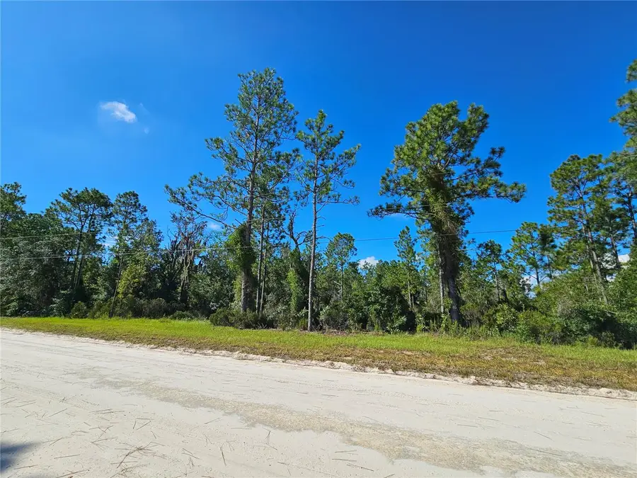 0000 NE 38th Place, Williston, FL 32696 - #3