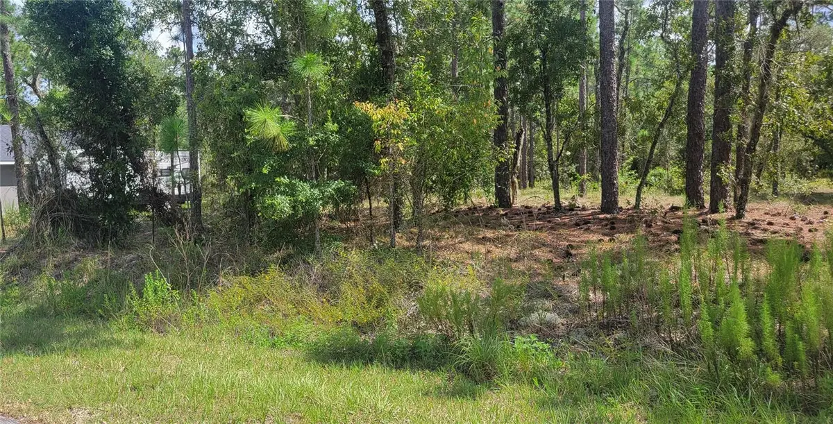 0 NW Hillsdale Avenue, Dunnellon, FL 34431 - #1
