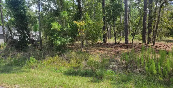 0 NW Hillsdale Avenue, DUNNELLON, FL 34431