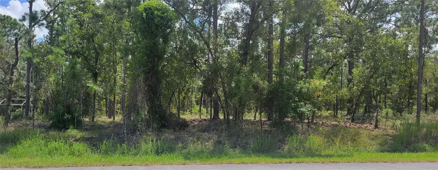 0 NW Hillsdale Avenue, Dunnellon, FL 34431 - #2