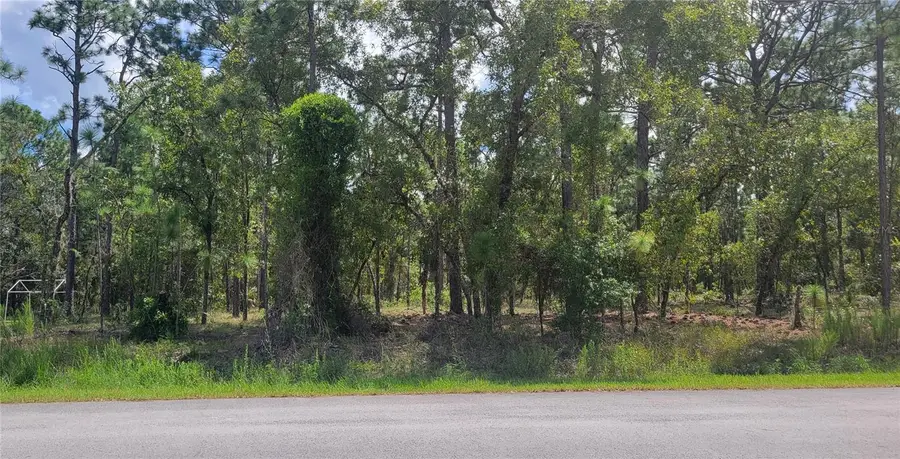 0 NW Hillsdale Avenue, Dunnellon, FL 34431 - #3