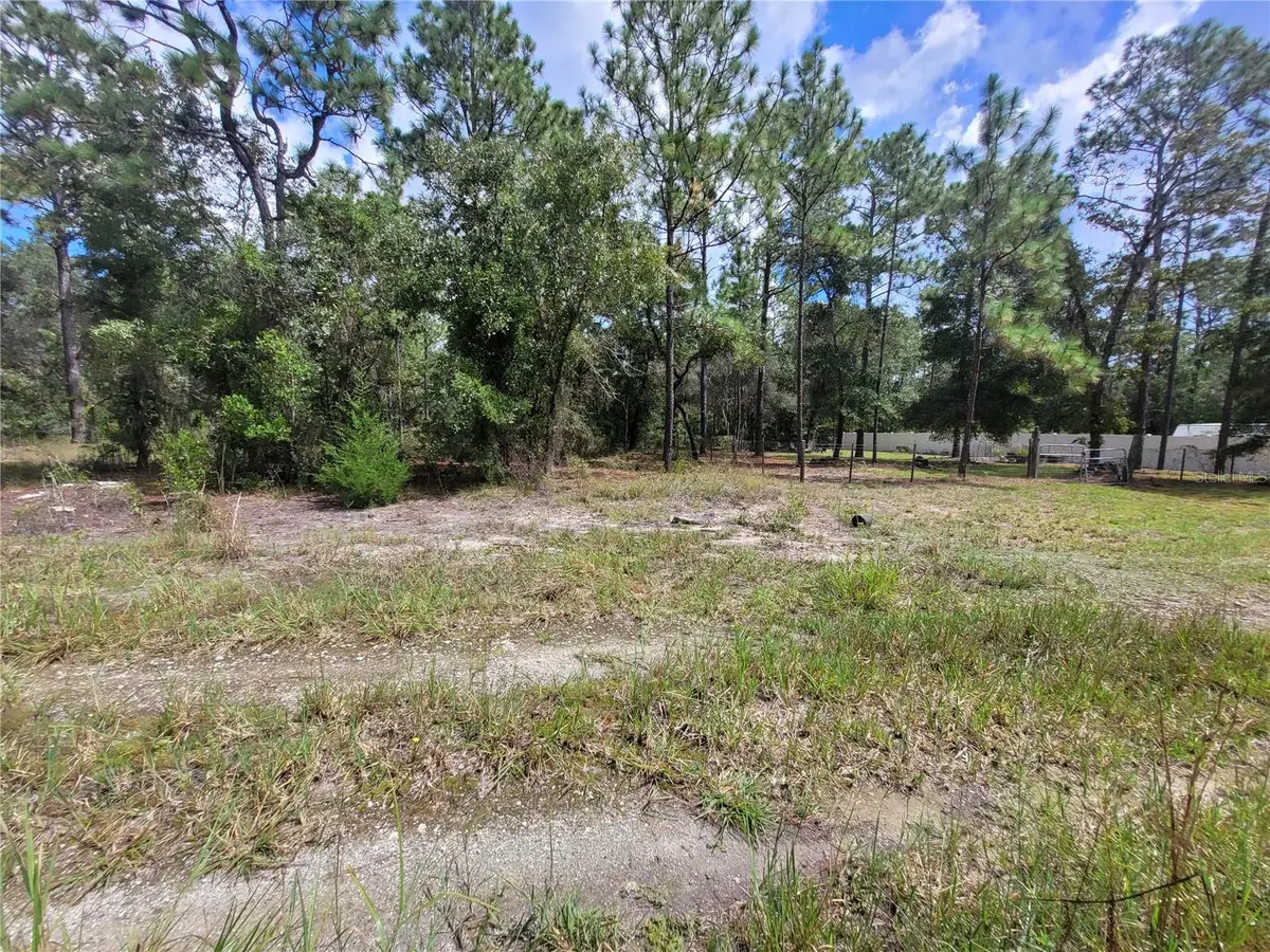 0 Ne 3rd Pl, Williston, FL 32696 - #1
