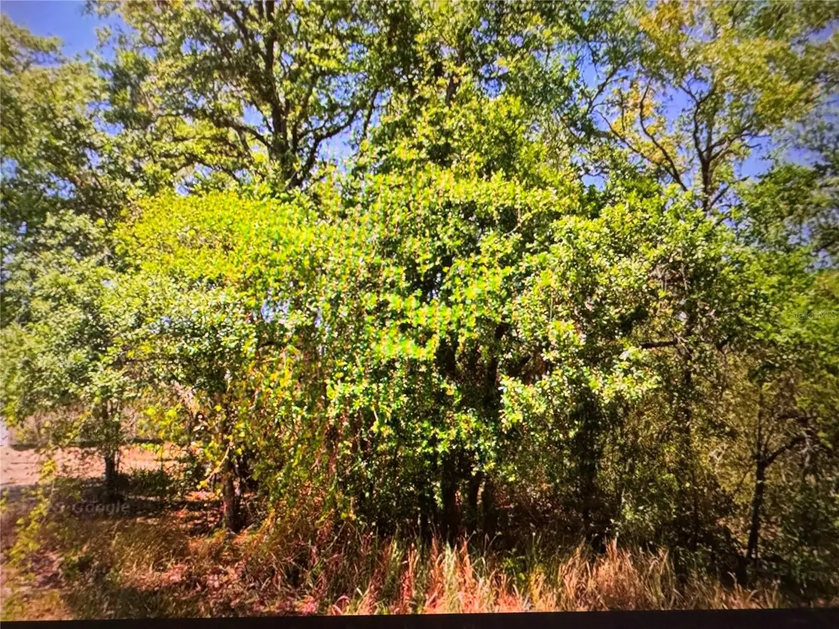 252 Locust Lane, Ocala, FL 34472 - #1