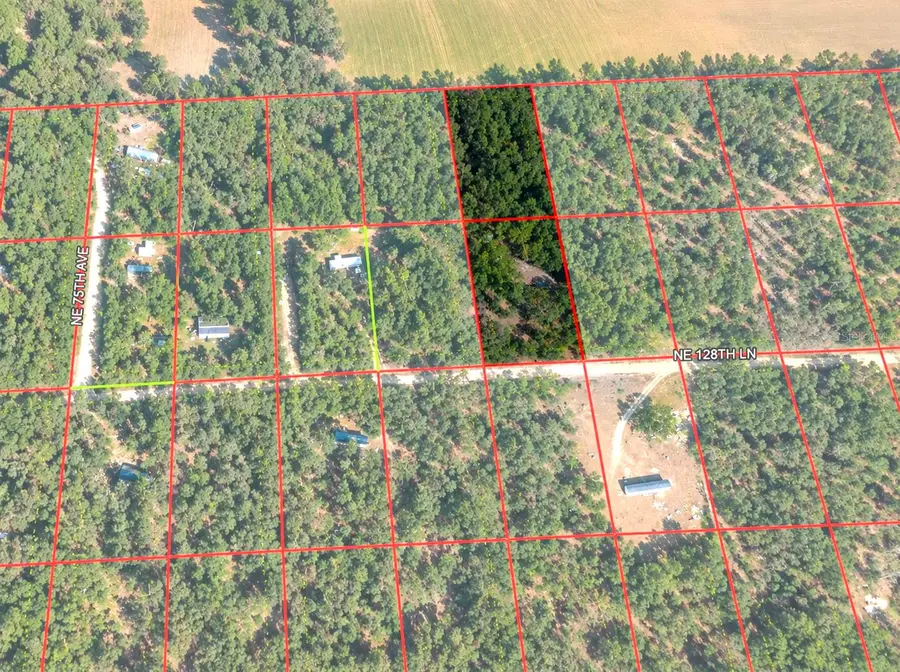 7651 NE 128th Lane, Bronson, FL 32621 - #2
