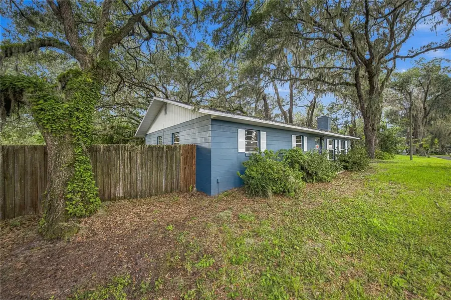 14850 NE 214th Avenue, Salt Springs, FL 32134 - #3
