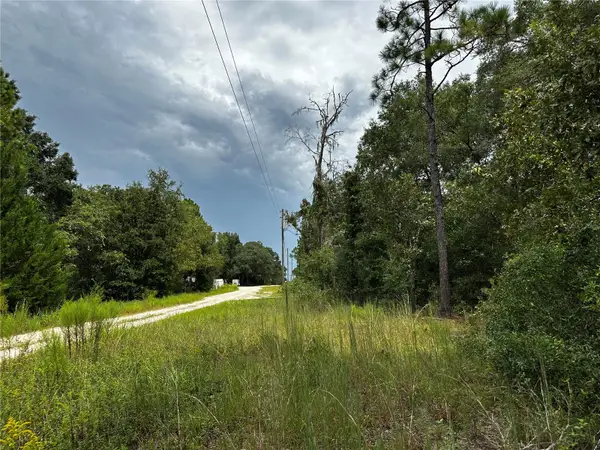 0000 NE 155th Court, WILLISTON, FL 32696