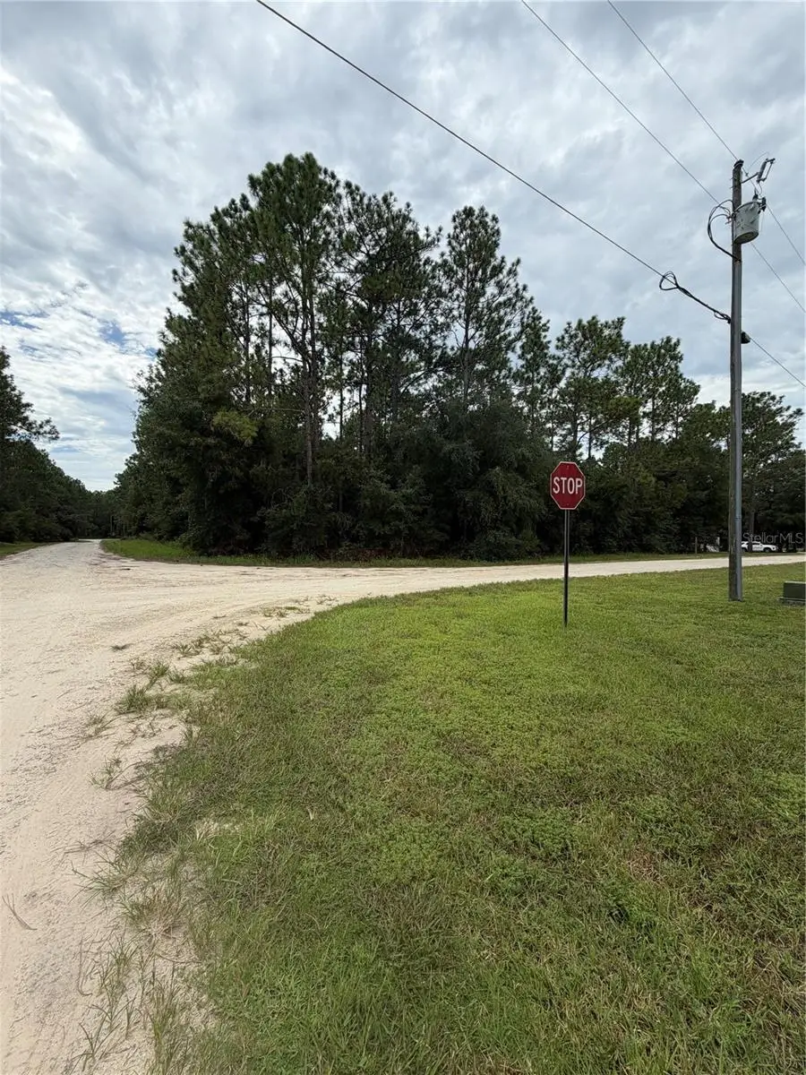00 SW 48 Lane Rd, Ocala, FL 34481 - #3