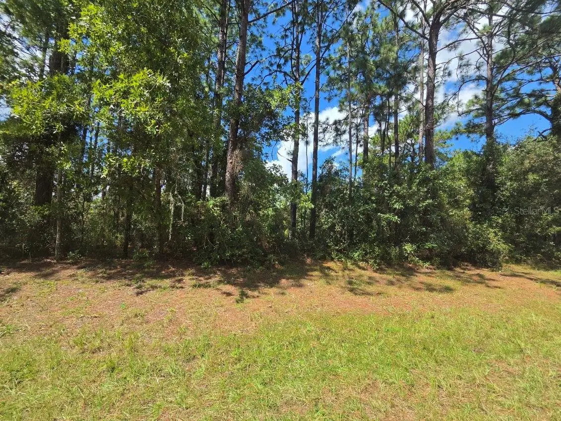 00 Sw 81st Ter, Ocala, FL 34473 - #1