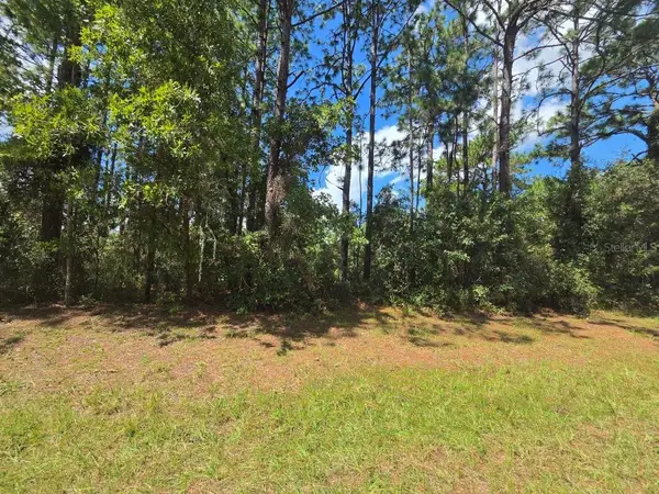 00 Sw 81st Ter, OCALA, FL 34473