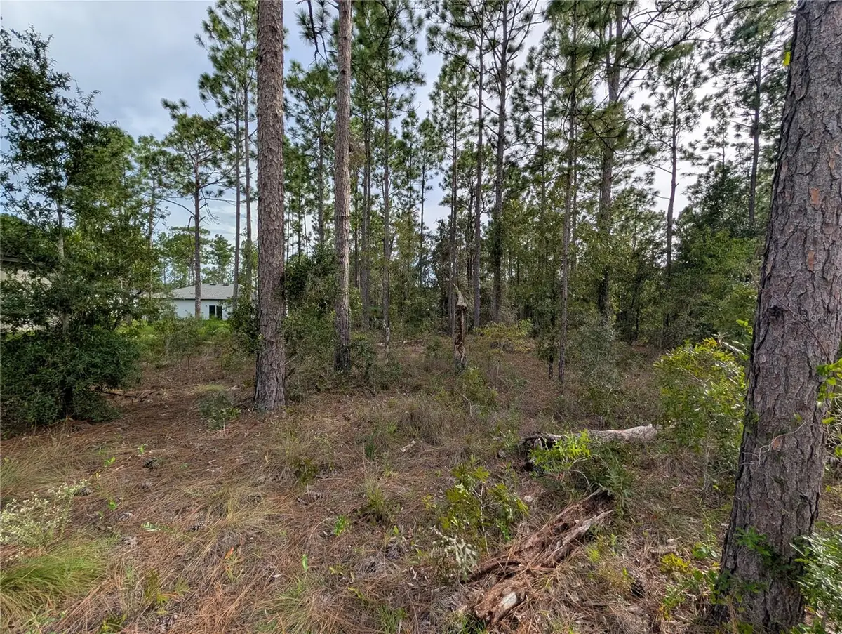 640 W Heronsbill Lane, Citrus Springs, FL 34434 - #1