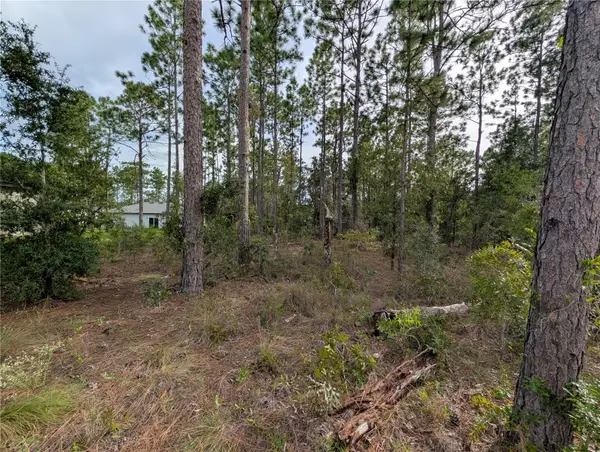 640 W Heronsbill Lane, CITRUS SPRINGS, FL 34434