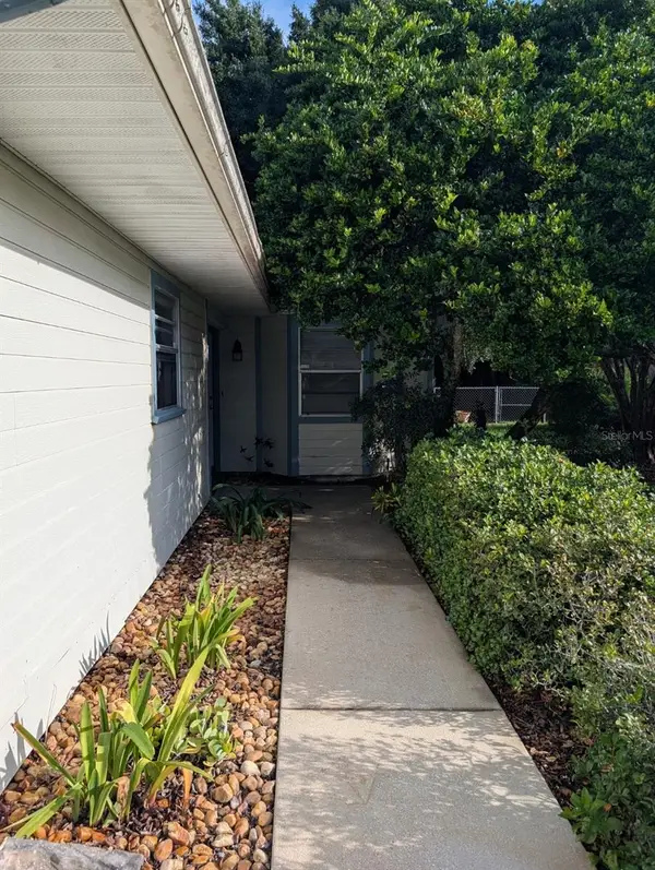 2407 South Avenue, LEESBURG, FL 34748