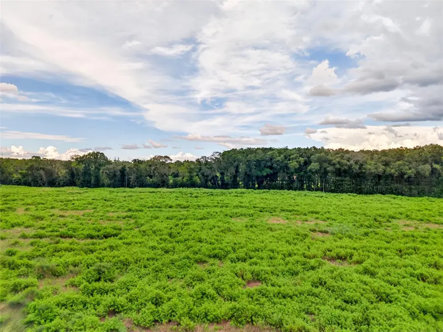 4949 NW 100th Street, Ocala, FL 34482 - #3