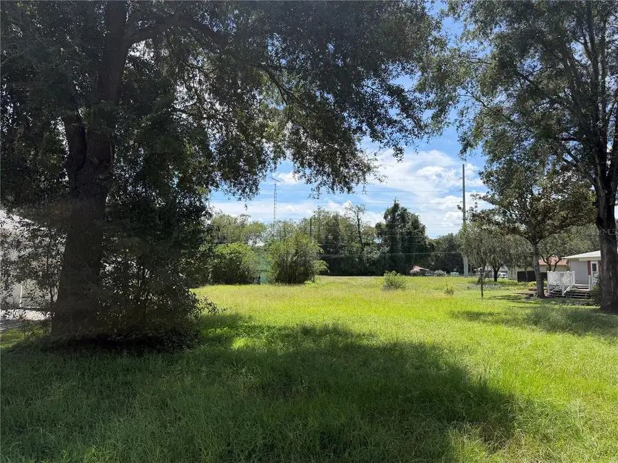 TBD SE 144th Place, Summerfield, FL 34491 - #2