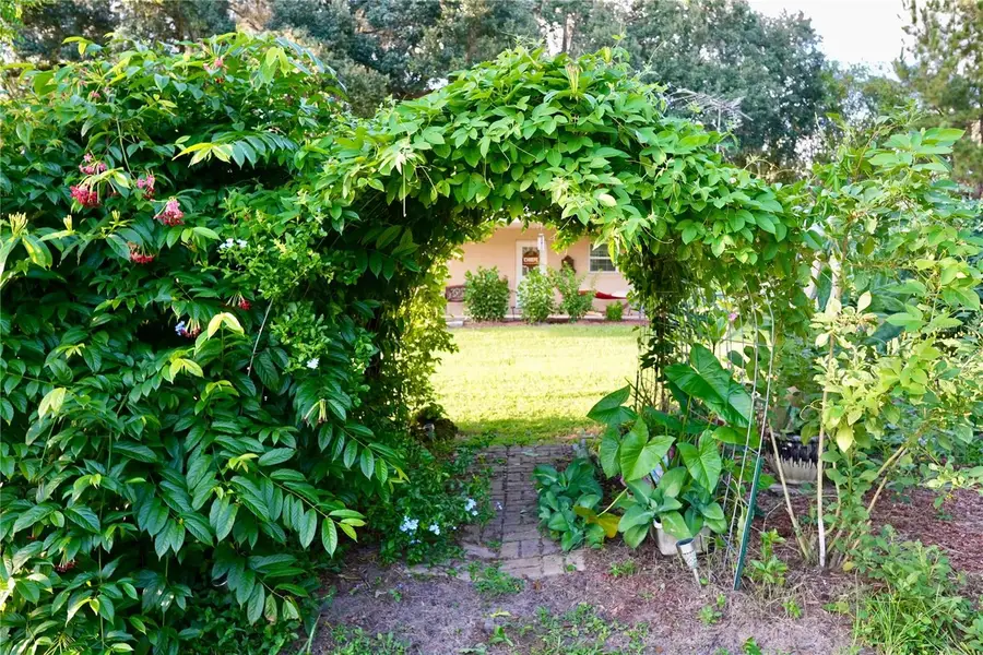 11690 NW 160th Street, Reddick, FL 32686 - #3