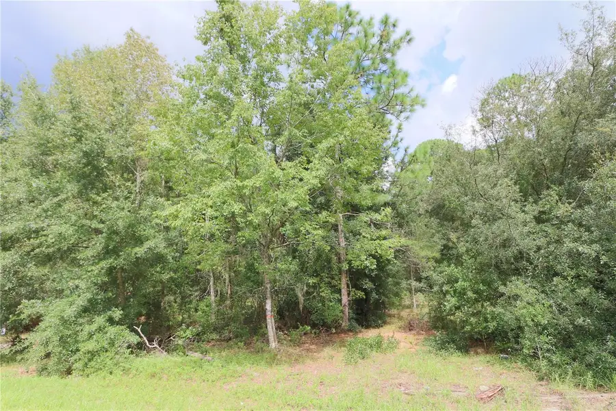SE 52 Court, Ocala, FL 34480 - #2