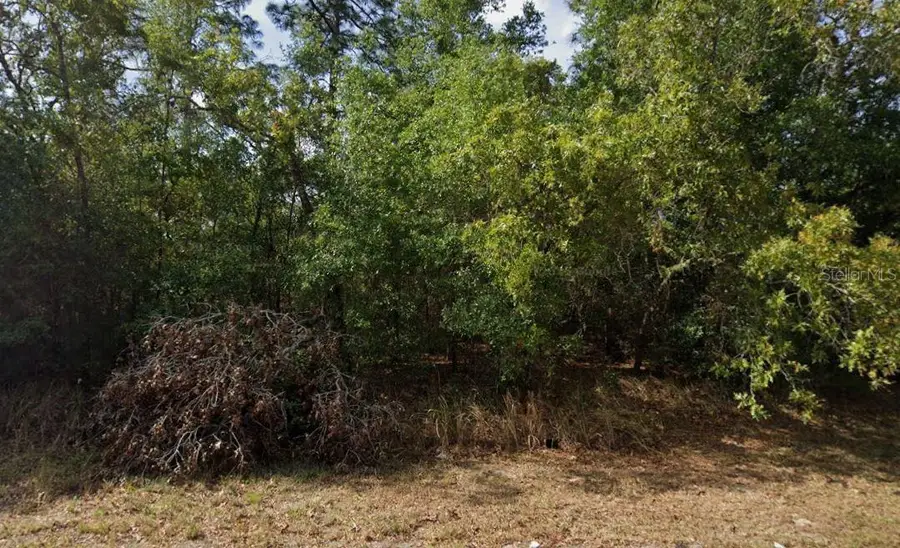 Water Trak, Ocala, FL 34472 - #3