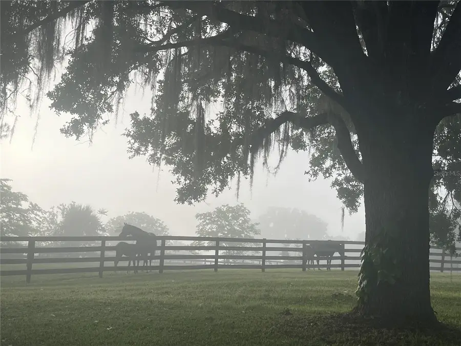 8001 SE 7th Avenue Road, Ocala, FL 34480 - #2
