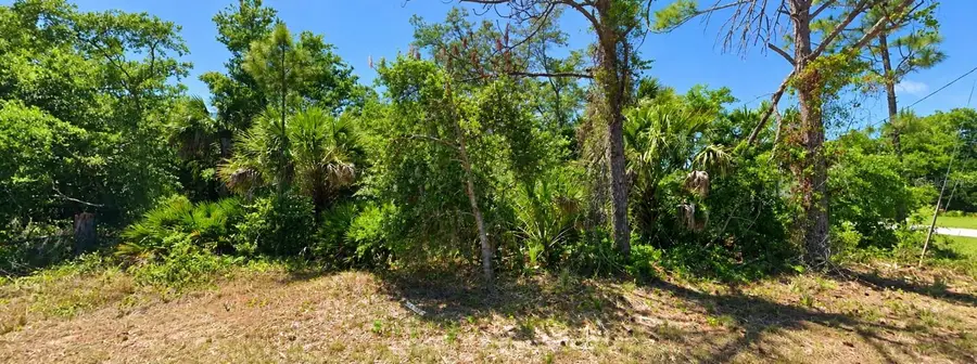 Dragon Street, North Port, FL 34288 - #2