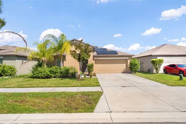 10421 Carloway Hills Drive, WIMAUMA, FL 33598