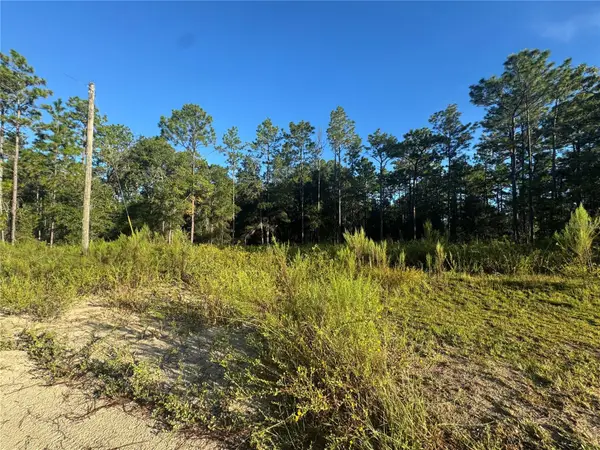 16327 SW 24th Place, OCALA, FL 34481