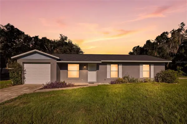 11720 SE 129th Place, OCKLAWAHA, FL 32179