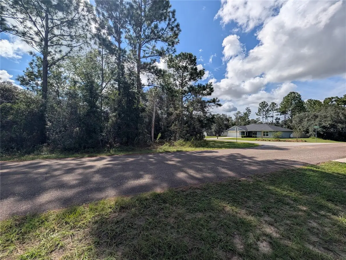 8479 N Brook Way, Citrus Springs, FL 34433 - #1