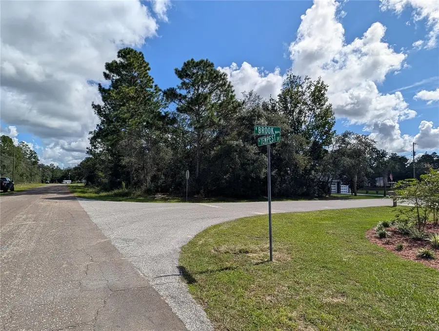 8479 N Brook Way, Citrus Springs, FL 34433 - #2