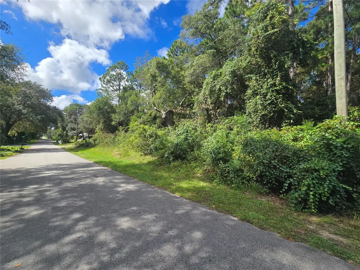 996 N Charles Avenue, Inverness, FL 34453 - #1