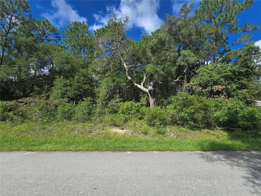 996 N Charles Avenue, Inverness, FL 34453 - #2