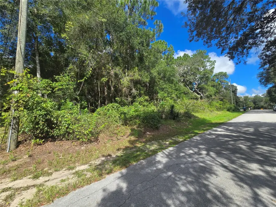 996 N Charles Avenue, Inverness, FL 34453 - #3