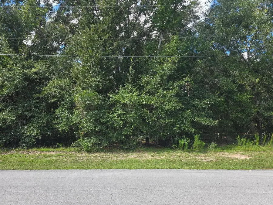366 S Savary Avenue, Inverness, FL 34453 - #2