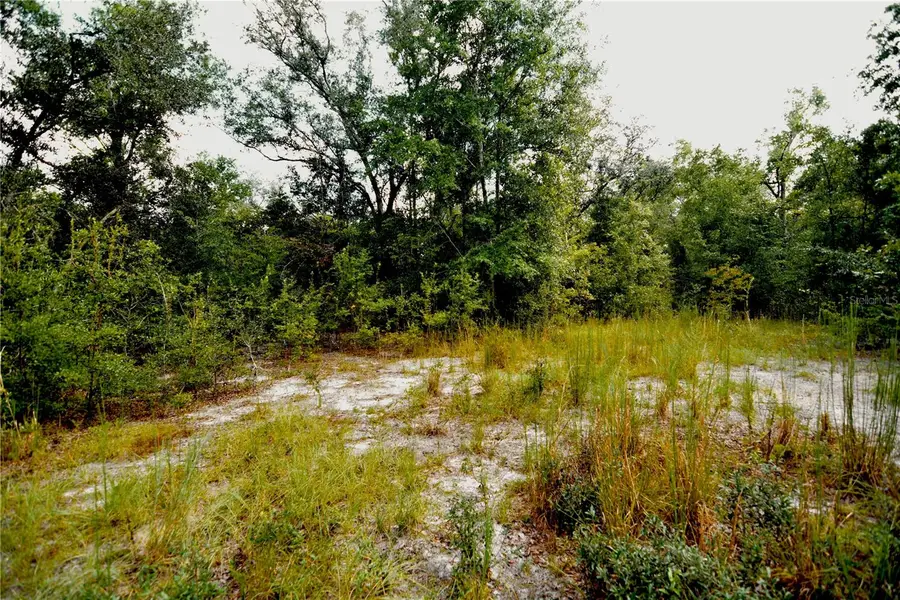 00 Sw 40th Ave, Jasper, FL 32052 - #3