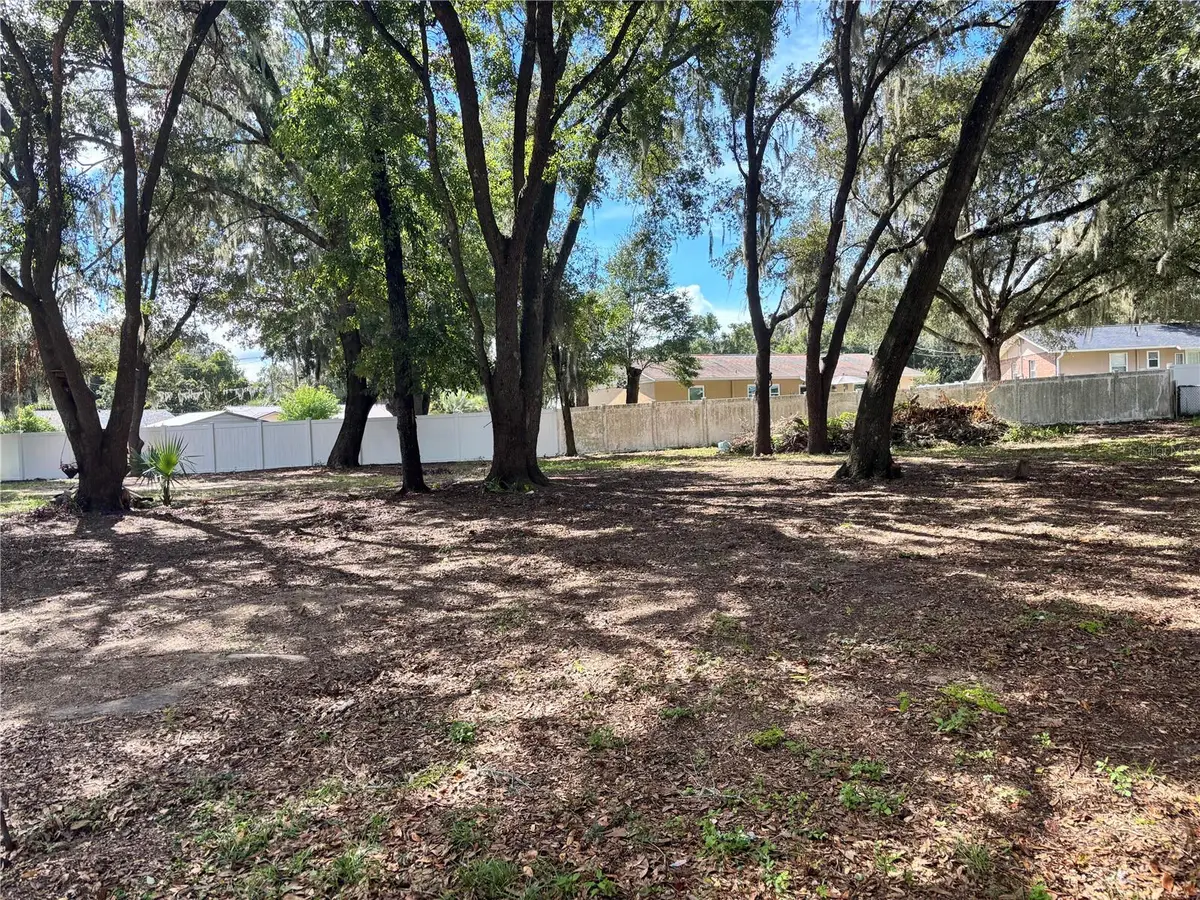 11708 SE 129th Place, Ocklawaha, FL 32179 - #1