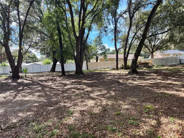 11708 SE 129th Place, OCKLAWAHA, FL 32179