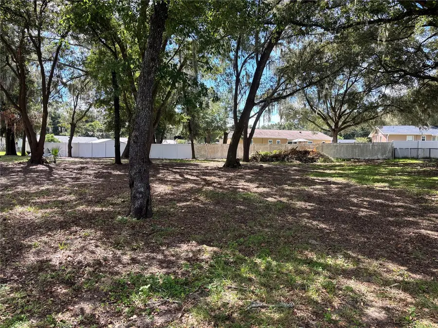 11708 SE 129th Place, Ocklawaha, FL 32179 - #2